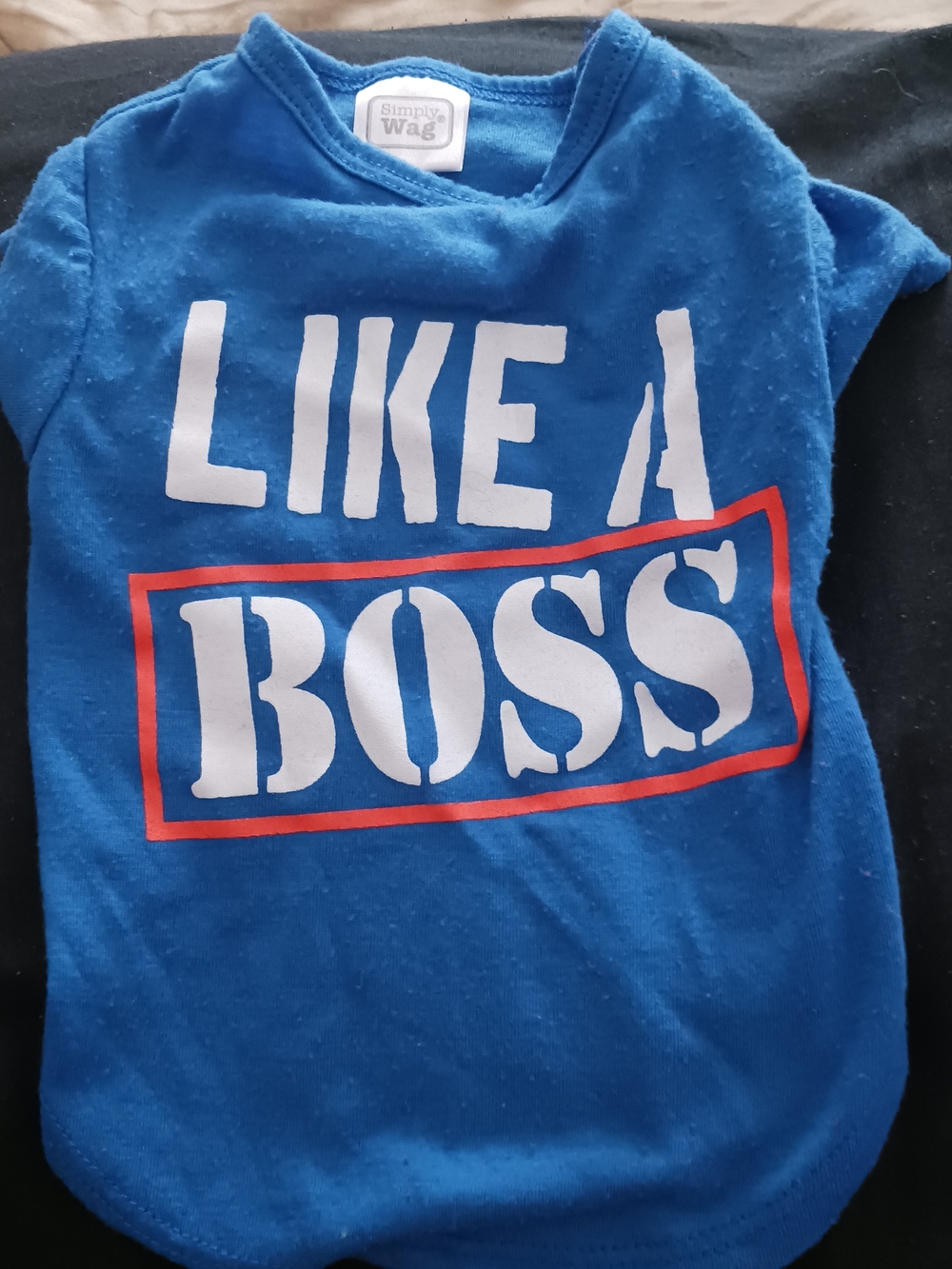 NWOT Simple Blue "Like A Boss" Dog Tee with Red Accent